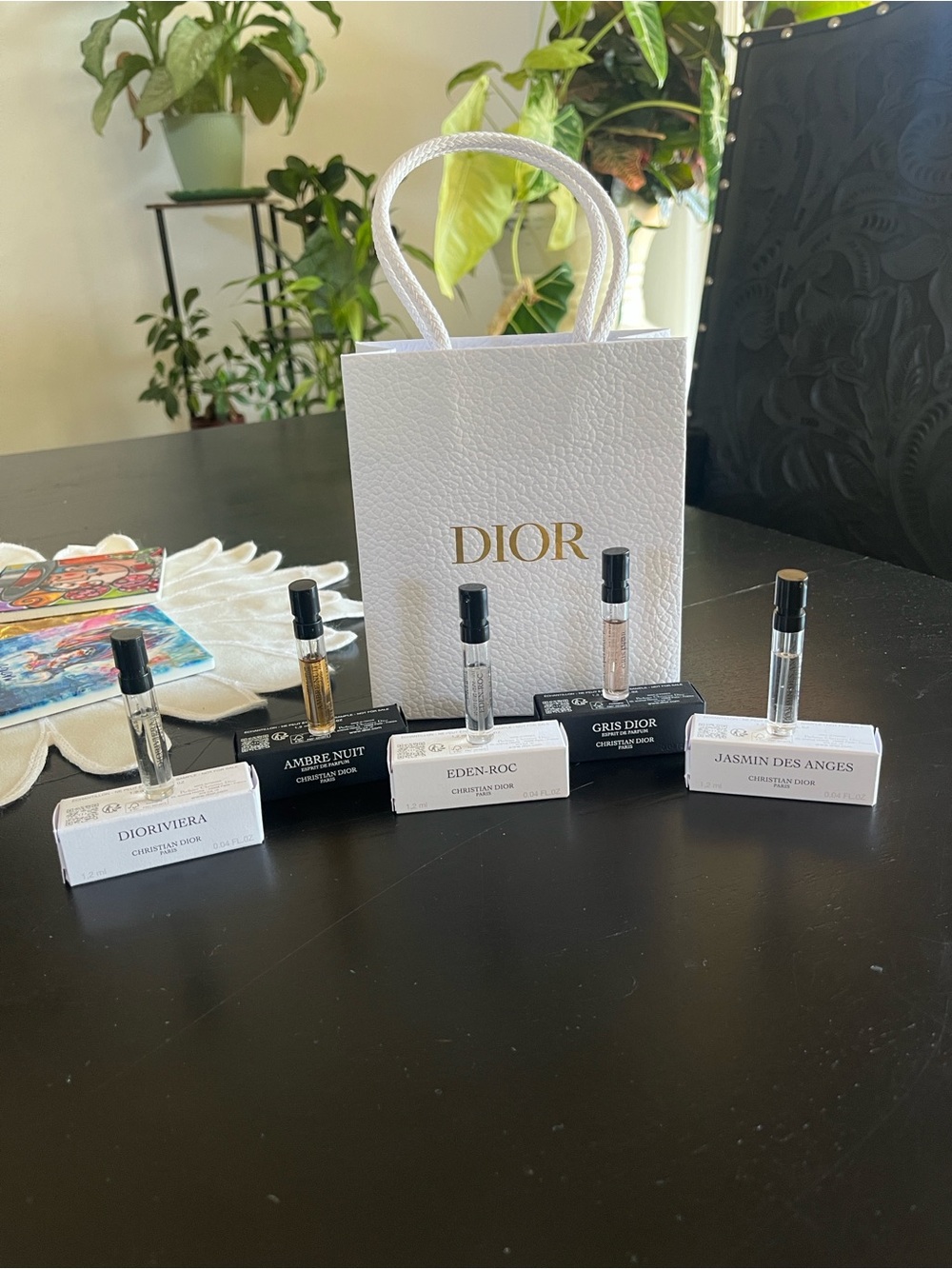 Dior Samples with Bag